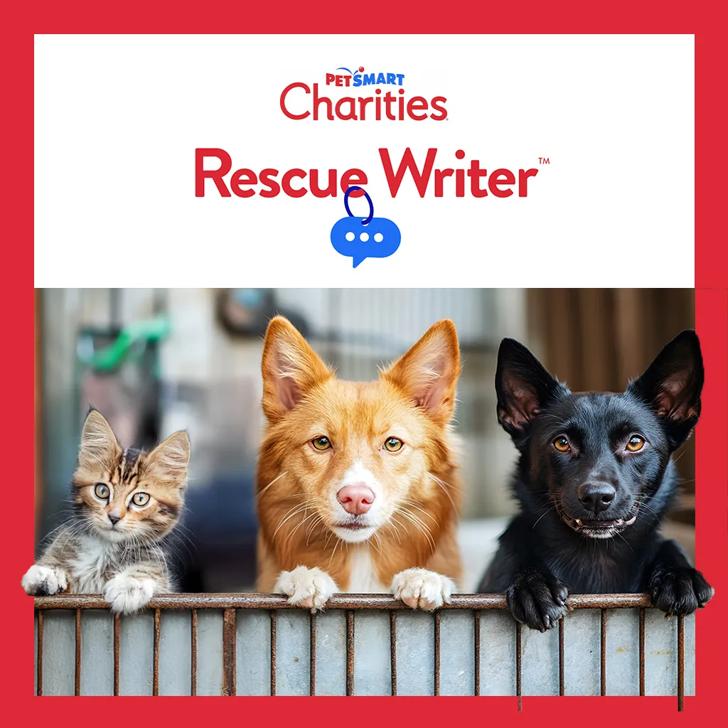 PetSmart Charities Rescue Writer: Supporting pet rescue efforts with adorable animals and a focus on adoption through storytelling.